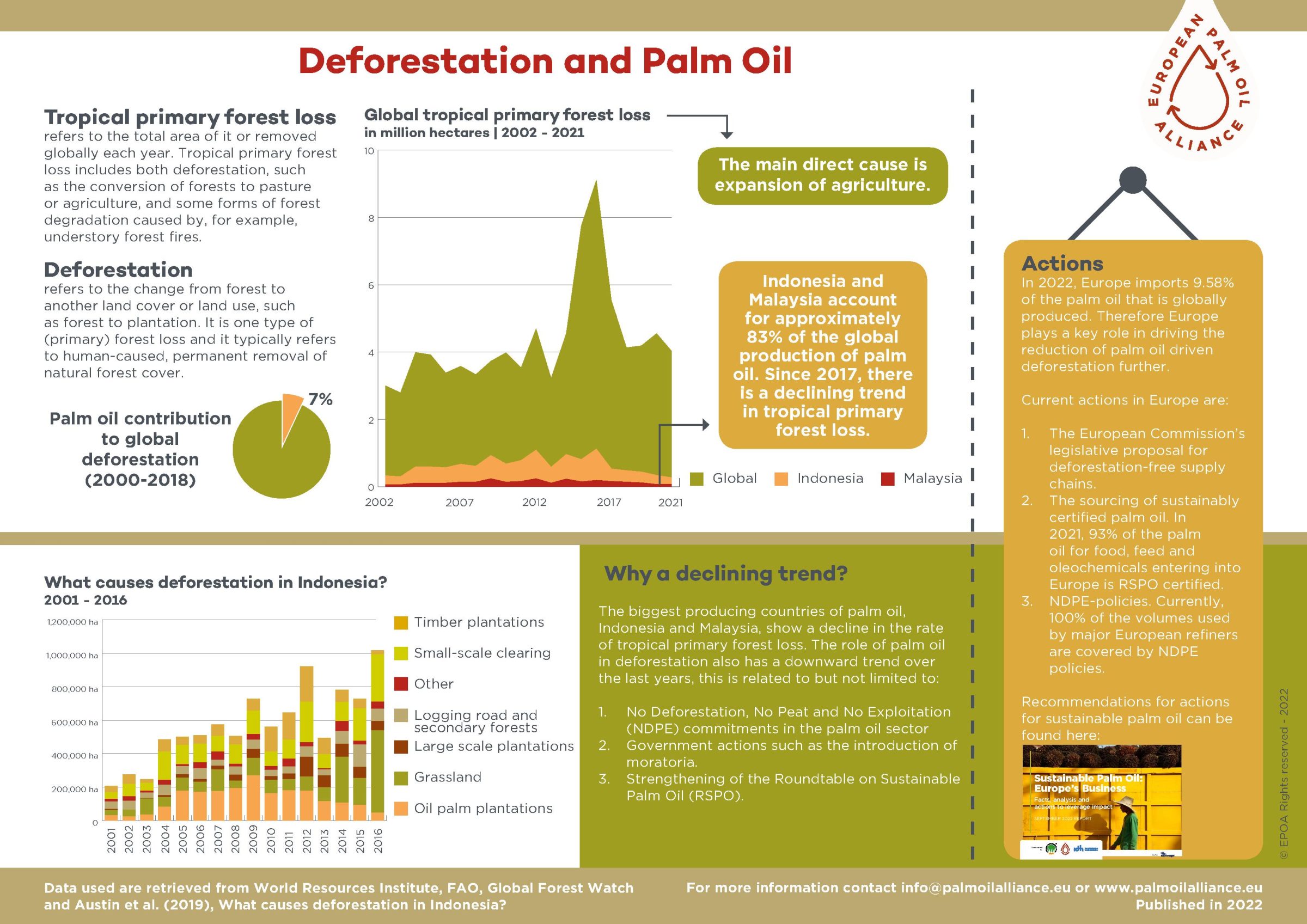 case study deforestation palm oil